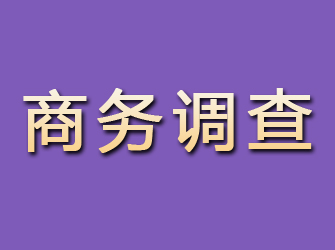 滨海商务调查